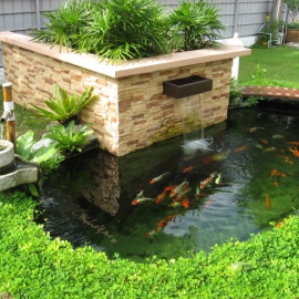 Hồ Cá Koi 