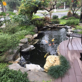 Hồ Cá Koi 