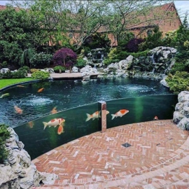 Hồ Cá Koi 