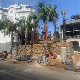 CÔNG TRỈNH HỒ CÁ COI ANH PHONG-CHI THÚY